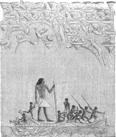 HUNTING IN THE MARSHES. TOMB OF TI, SACCARAH